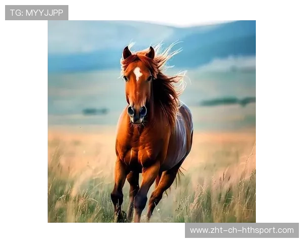 马艺传奇：坠马而不倒的精神力量